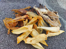 Kauartikel, Hasenohren