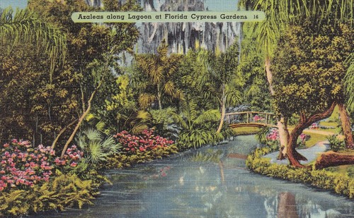 Postkarte usa florida - postkarte,
