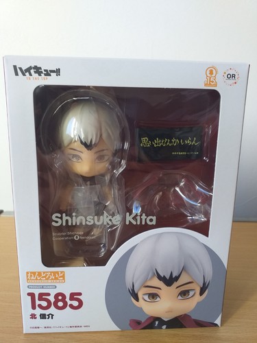 Anime manga nendoroid - manga, figur