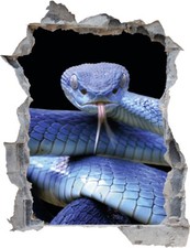 Wandtattoo Schlange Giftig