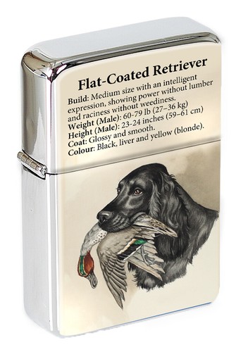 Flat coated retriever flip - retriever,