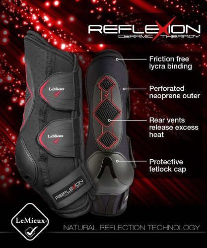 Lemieux reflexion therapy - lemieux,