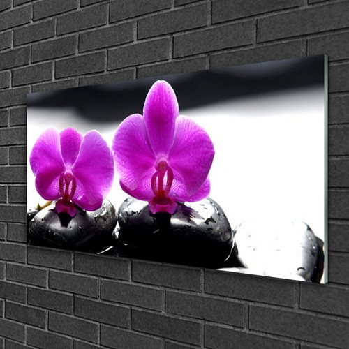 Wandbilder 100x50 glasbild - wandbilder,
