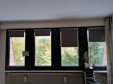 4 Stück Thermorollo Klemmrollo verdunkeln 60cm