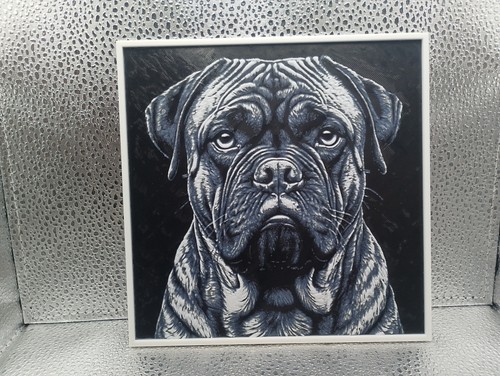 Wandbild hund bullmastiff - wandbild,