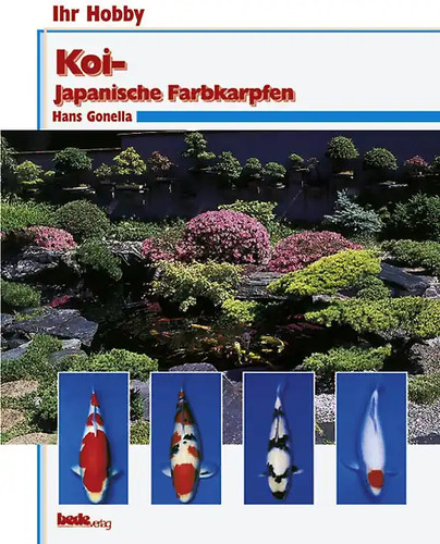 Koi japanische farbkarpfen - japanische,