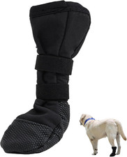 Hundeschuhe Bei Verletzungen