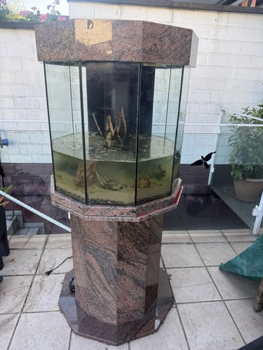 Aquarium aquascaping - aquarium,