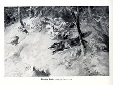 Wilhelm Buddenberg Ein guter Stand Jagdliche Grafik / Druck um 1927