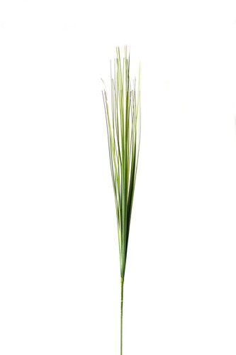 Künstlicher graszweig - künstlicher,