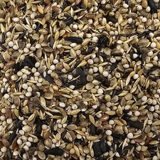 Deli Nature Nr.97 Distelfinken