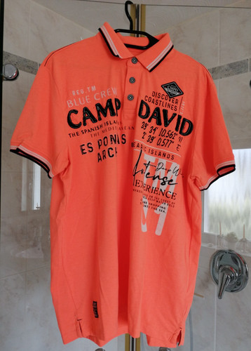 Camp david polo shirt - polo,