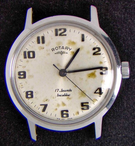 Rotary patina silver dial - rotary,
