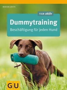 Dummytraining beschäftigung - dummytraining:,