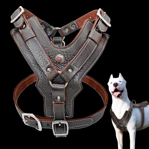 Hundegeschirr