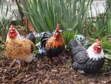 Huhn hahn deko - huhn,