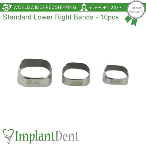Dental molar standard lower - dental,