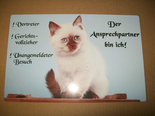Heilige birma katze schild - heilige,
