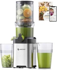 Entsafter - Slow Juicer mit