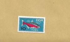 DDR / Briefmarke / Mi 1222 / Zierfische - Roter Neon / 1966 / gestempelt
