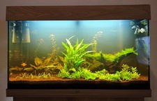 Juwel RIO 125 LED Light Wood