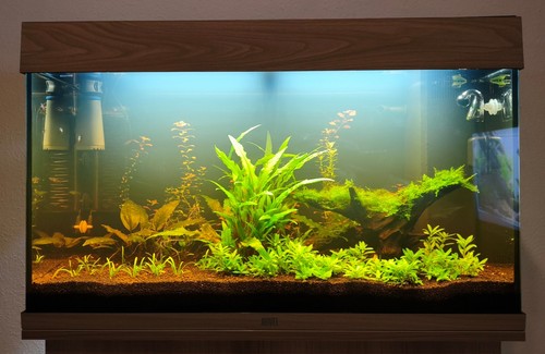 Juwel rio 125 led - 125, wood