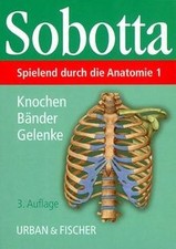 Spielend durch die Anatomie