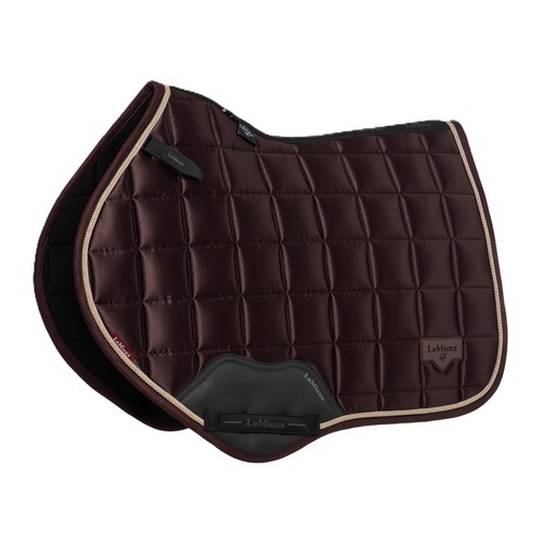 Lemieux loire classic - loire, close