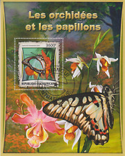 Schmetterlinge+ Orchideen