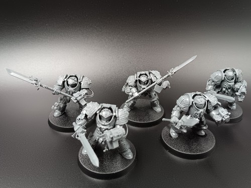 Paladins grey knights - paladins,