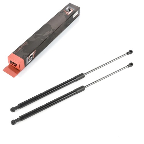 Gasfeder - 2x,