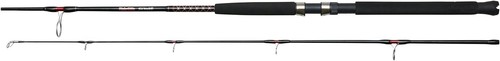 Ugly stik bigwater - stik, 300cm