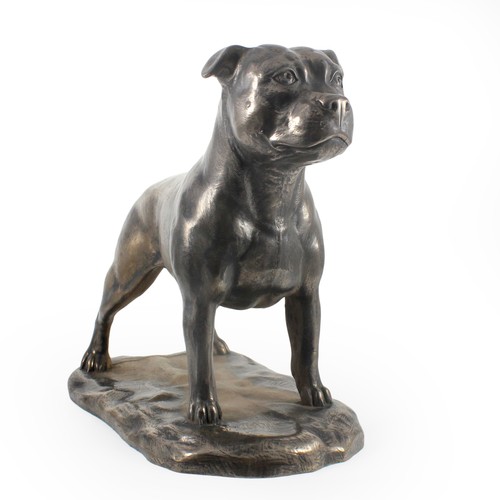 Staffordshire bull terrier - staffordshire,