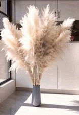 Pampasgras XXL 15 Stück 120cm getrocknet ,TrockenblumeGras,Deko,Hochzeit