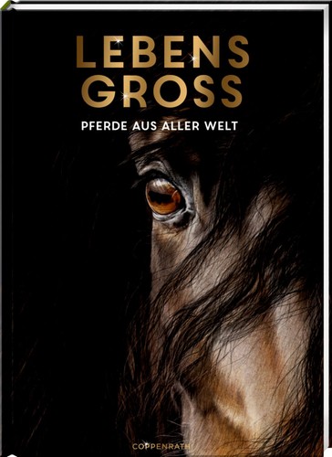 Lebensgroß pferde aus - -,