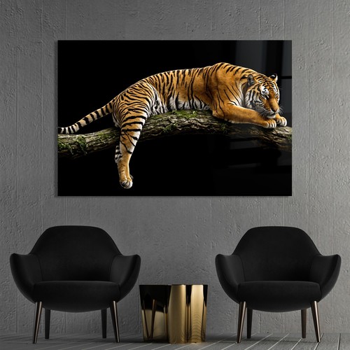 Wandbild tiger tier - tiger,