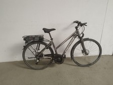 E-Bike Gepida Alboin 1000