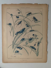 J.HABERT-DYS CHROMOLITHOGRAPHY