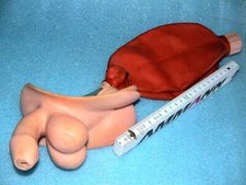 SOMSO PHYWE Lehrmodell
