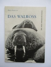 Alwin Pedersen THE WALRUS 1962