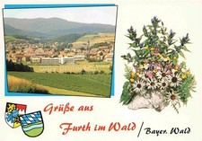 Furth Wald Fuerth Wald