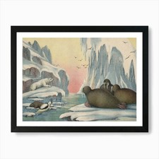 Vintage Kolb 4 Tafel 57