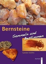 Bernstein: Sammeln  Bestimmen von Gröhn, Carsten | Buch | Zustand gut