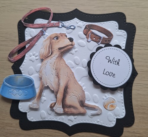 Luxus niedlich labrador - niedlich,
