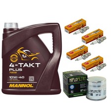 Inspektion Set 4L Öl