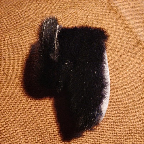 Kleiner baby schuh seehund - baby,