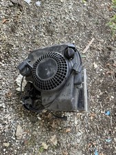 Briggs&Stratton Motor Benzin für Sabo