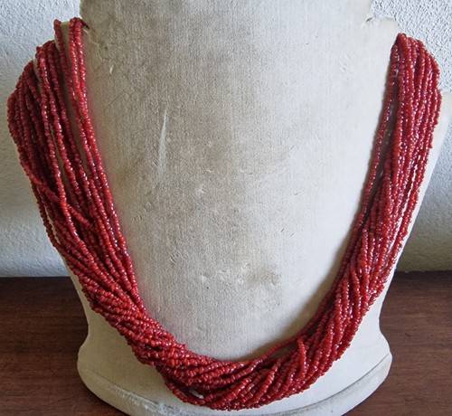 Prächtiger korallenschmuck - korallenschmuck, *