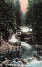 733685) AK Weiswassergrund