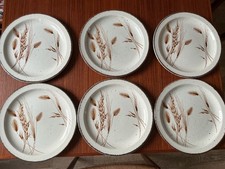 Steak Teller Midwinter Stonehenge Wild Oats    26 cm